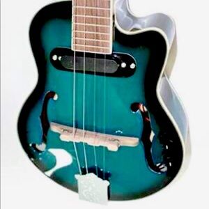 Electric Ukulele. Brand new comes with carrying case. I have 3 of each color.